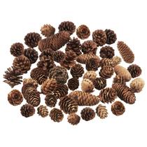 Decorações de pinhas Jangostor 40 peças em marrom natural Decorações de pinhas Jangostor 40 peças em marrom natural