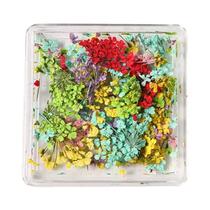 Decorações De Unhas Em Gel Estilo Japonês Com Flores Secas Simuladas, Charms De Joias Para Salão De Decorações De Unhas Em Gel Estilo Japonês Com Flores Secas Simuladas, Charms De Joias Para Salão De