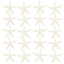 Decorative Starfish Jangostor 20 peças de conchas brancas de 6,35 a 10 cm Decorative Starfish Jangostor 20 peças de conchas brancas de 6,35 a 10 cm
