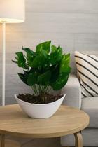 Decore Já! Vaso Moderno Com Folhagem Artificial Realista Verde Decore Já! Vaso Moderno Com Folhagem Artificial Realista Verde