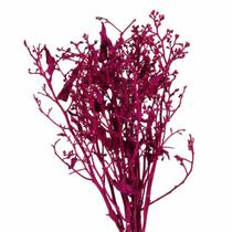 Dedo De Anjo Pink Flor Desidratada Buque Flores Secas Dedo De Anjo Pink Flor Desidratada Buque Flores Secas