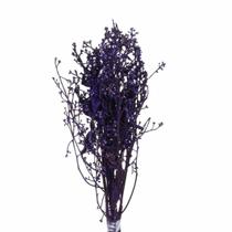 Dedo De Anjo Roxo Flor Desidratada Buque Flores Secas Dedo De Anjo Roxo Flor Desidratada Buque Flores Secas