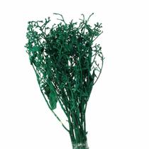 Dedo De Anjo Verde Flor Desidratada Buque Flores Secas Dedo De Anjo Verde Flor Desidratada Buque Flores Secas