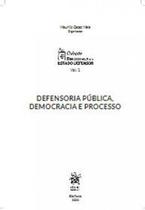 Defensoria pública, democracia e processo - 2020 - vol. 1