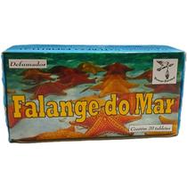Defumador De Ambiente Incenso Falange Do Mar Caixa Com 20 Defumador De Ambiente Incenso Falange Do Mar Caixa Com 20