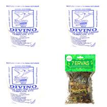Defumador Divino Original Caseiro Umbanda Limpeza Lar Casa Ambiente 7 Ervas Kit