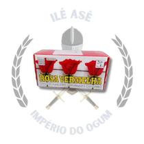 Defumador tablete - cx 20 uni - rosa vermelha Defumador tablete - cx 20 uni - rosa vermelha