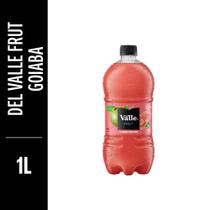 DEL VALE FRUT 1L c/06 goiaba