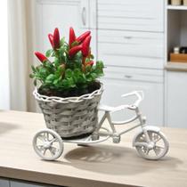 Delicado Arranjo Pequeno Bicicleta De Pimenta Artificial Flores Artificiais Bicicleta Decorativa