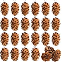 Delokey 60 PCS Thanksgiving Natural Mini Pinhanas suspensas com String-3CM Árvore de Natal Pendurando Ornamentos de Pinha para Artesanato DIY, Decorações Domésticas, Outono e Ação de Graças, Decoração de Casamento (60pcs)