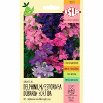 Delphinium / Esporinha Dobrada Sortida Delphinium / Esporinha Dobrada Sortida