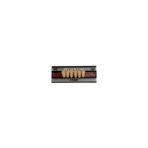 Dente 2D Inferior Anterior 66 - Vipi