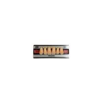 Dente 2N Superior Anterior 66 - Vipi