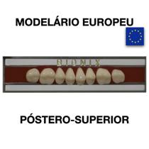 Dente Bionix Posterior Superior - Reaw