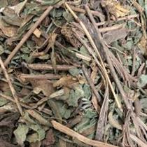 Dente de Leão 100g Taraxacum officinale LondriNutri