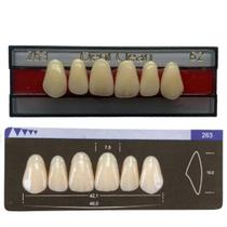 Dente Dent Clean Anterior 263 Superior - Imodonto Dente Dent Clean Anterior 263 Superior - Imodonto