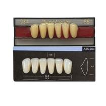 Dente Dent Clean Anterior 264 Inferior - Imodonto Dente Dent Clean Anterior 264 Inferior - Imodonto