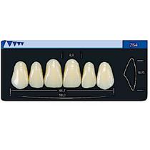 Dente Dent Clean Anterior 264 Superior - Imodonto Dente Dent Clean Anterior 264 Superior - Imodonto