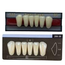 Dente Dent Clean Anterior 266 Inferior - Imodonto Dente Dent Clean Anterior 266 Inferior - Imodonto