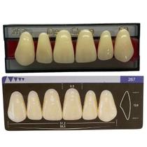 Dente Dent Clean Anterior 267 Superior - Imodonto Dente Dent Clean Anterior 267 Superior - Imodonto