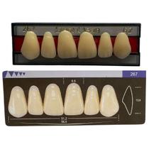 Dente Dent Clean Anterior 267 Superior - Imodonto Dente Dent Clean Anterior 267 Superior - Imodonto