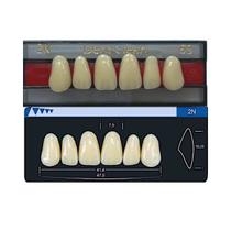 Dente Dent Clean Anterior 2N Superior - Imodonto Dente Dent Clean Anterior 2N Superior - Imodonto
