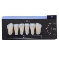 Dente Dent Clean Anterior 2P Inferior - Imodonto Dente Dent Clean Anterior 2P Inferior - Imodonto