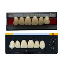 Dente Dent Clean Anterior 3D Superior - Imodonto Dente Dent Clean Anterior 3D Superior - Imodonto