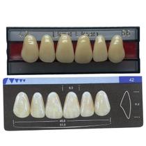 Dente Dent Clean Anterior 42 Superior - Imodonto Dente Dent Clean Anterior 42 Superior - Imodonto