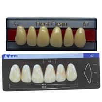 Dente Dent Clean Anterior 42 Superior - Imodonto Dente Dent Clean Anterior 42 Superior - Imodonto