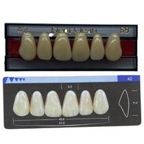 Dente Dent Clean Anterior 42 Superior - Imodonto Dente Dent Clean Anterior 42 Superior - Imodonto