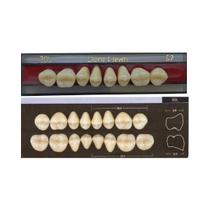 Dente Dent Clean Posterior 30L Superior - Imodonto Dente Dent Clean Posterior 30L Superior - Imodonto