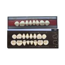 Dente Dent Clean Posterior 30M Superior - Imodonto Dente Dent Clean Posterior 30M Superior - Imodonto