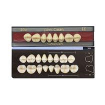 Dente Dent Clean Posterior 30M Superior - Imodonto Dente Dent Clean Posterior 30M Superior - Imodonto