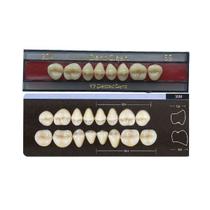 Dente Dent Clean Posterior 30M Superior - Imodonto Dente Dent Clean Posterior 30M Superior - Imodonto