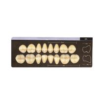 Dente Dent Clean Posterior 32L Superior - Imodonto Dente Dent Clean Posterior 32L Superior - Imodonto