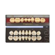 Dente Dent Clean Posterior 32M Inferior - Imodonto Dente Dent Clean Posterior 32M Inferior - Imodonto