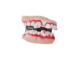 Dente Dentadura Fantasia Halloween Silicone