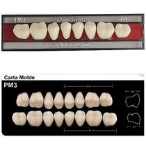 Dente New Form Posterior PM3 Inferior - Imodonto Dente New Form Posterior PM3 Inferior - Imodonto