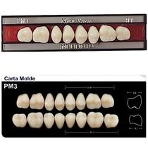 Dente New Form Posterior PM3 Superior - Imodonto Dente New Form Posterior PM3 Superior - Imodonto
