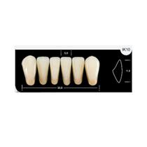 Dente Platinum Tri 03 Camadas Anterior IK10 Inferior-Imodonto Dente Platinum Tri 03 Camadas Anterior IK10 Inferior-Imodonto