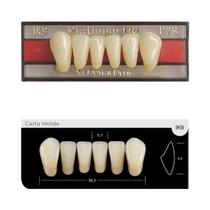 Dente Platinum Tri 03 Camadas Anterior IK9 Inferior - Imodonto