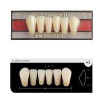 Dente Platinum Tri 03 Camadas Anterior IK9 Inferior-Imodonto Dente Platinum Tri 03 Camadas Anterior IK9 Inferior-Imodonto