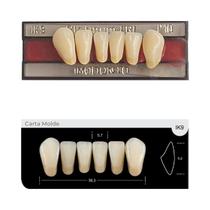Dente Platinum Tri 03 Camadas Anterior IK9 Inferior-Imodonto