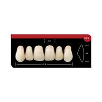 Dente Platinum Tri 03 Camadas Anterior SE2 Superior-Imodonto Dente Platinum Tri 03 Camadas Anterior SE2 Superior-Imodonto