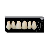 Dente Platinum Tri 03 Camadas Anterior SE4 Superior-Imodonto Dente Platinum Tri 03 Camadas Anterior SE4 Superior-Imodonto