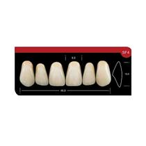 Dente Platinum Tri 03 Camadas Anterior SF4 Superior-Imodonto Dente Platinum Tri 03 Camadas Anterior SF4 Superior-Imodonto