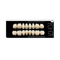 Dente Platinum Tri03 Camadas Posterior PM2 Inferior-Imodonto Dente Platinum Tri03 Camadas Posterior PM2 Inferior-Imodonto