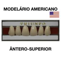 Dente Triunfo Anterior Superior - Triunfo