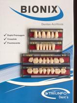Dente Triunfo Boca Completa Bionix Te3 - Ik6/ Tm4 - cor 62 Dente Triunfo Boca Completa Bionix Te3 - Ik6/ Tm4 - cor 62